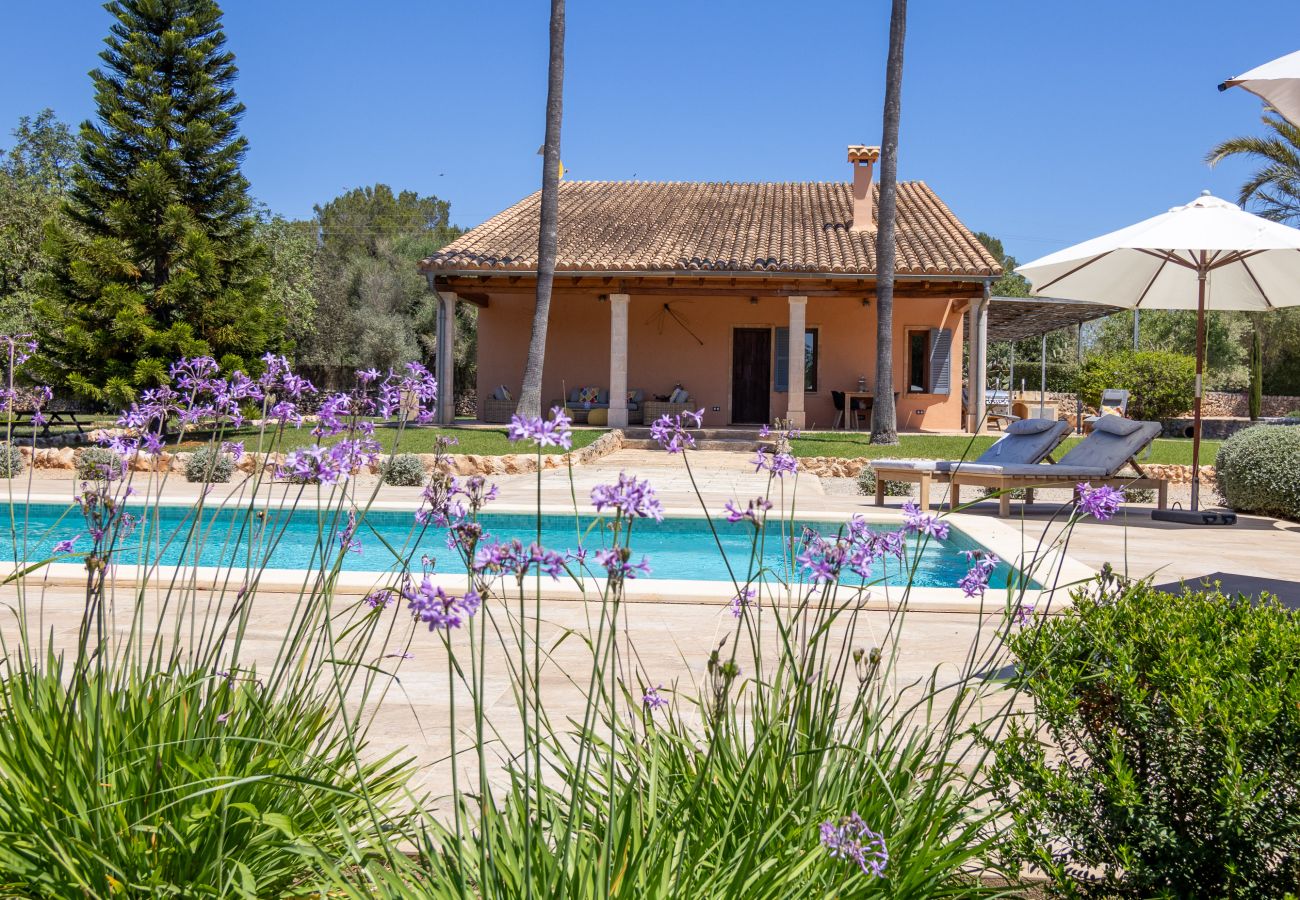 Villa in Muro - Casa Nuria 019 fantastic finca with private pool, terrace, garden and billiard