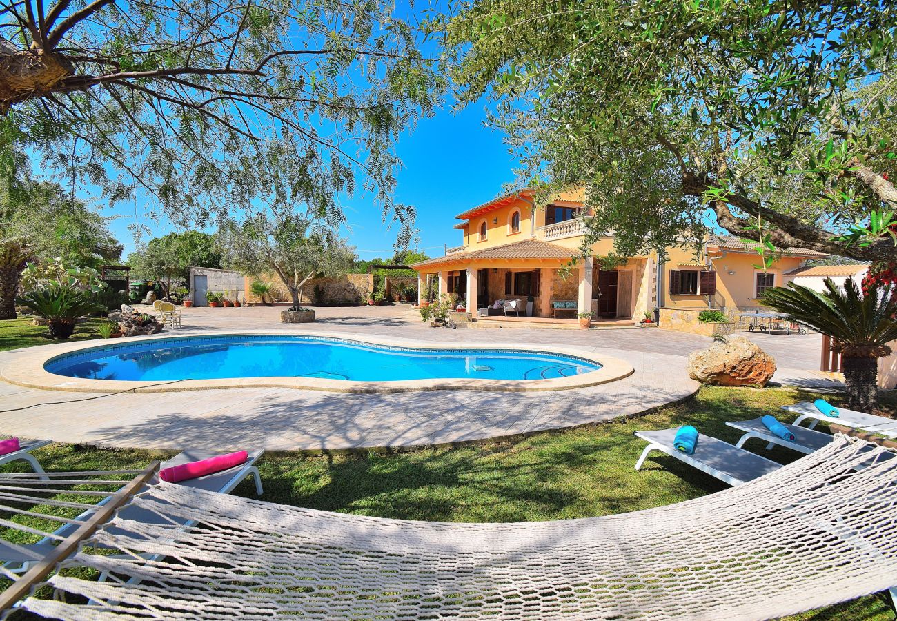 holiday home, swimming pool, Majorca, sunbeds, sunbathing, holidays