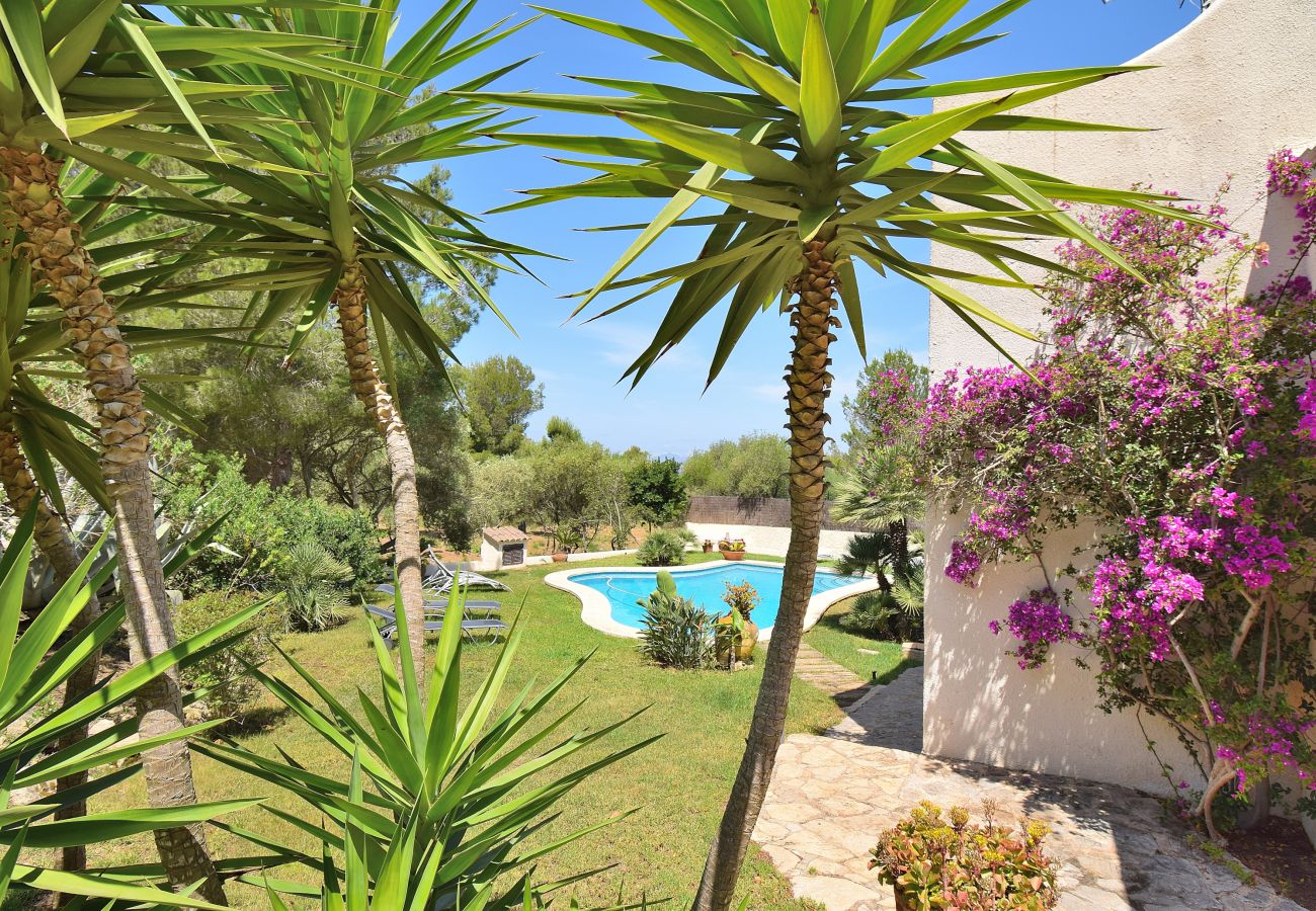 Villa in Arta - Villa Wagner 258 magnificent villa with private pool, large outdoor area, terrace and WiFI