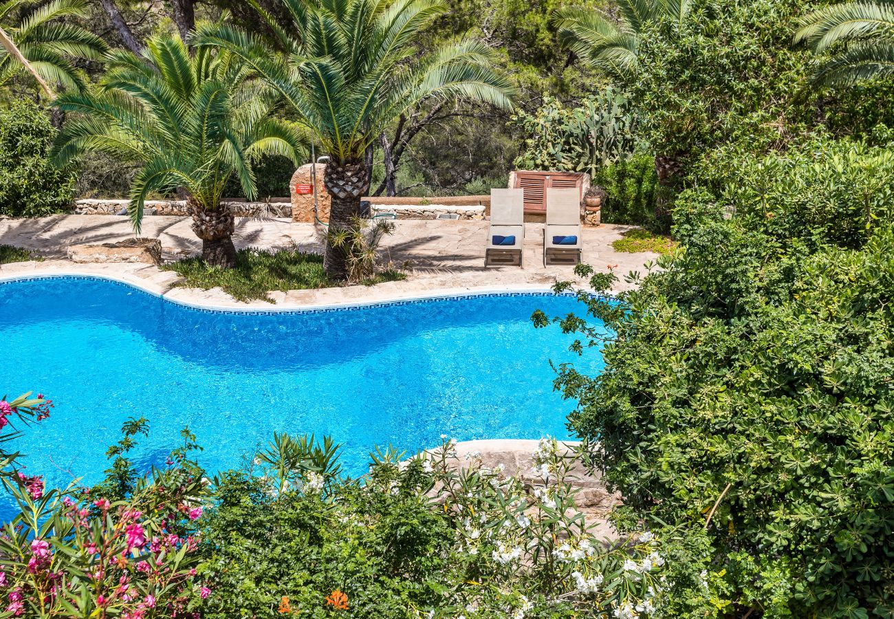 Apartment in Cala Santanyi - Apartment Oasis » ground floor: color and charm 